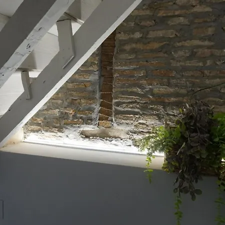 Margarita Appartement Granada